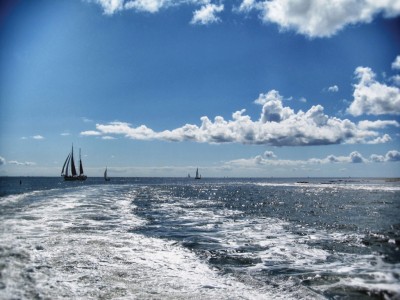 Op en rond de Friese meren 